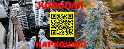 мдпв Гагарин