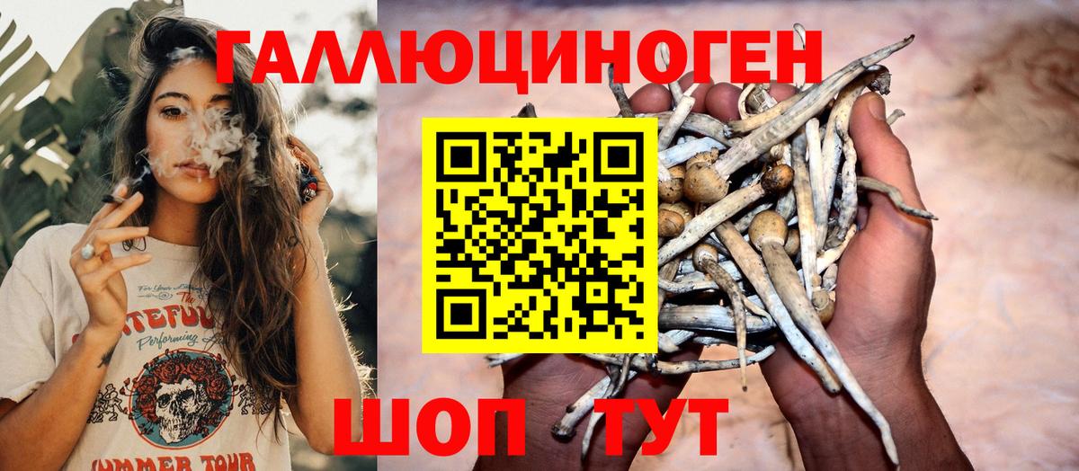 Псилоцибиновые грибы Psilocybe Златоуст
