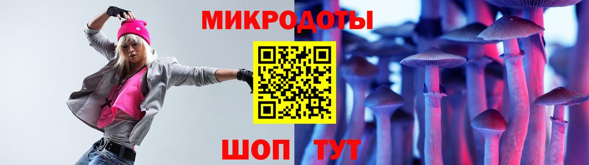Псилоцибиновые грибы Psilocybe  Вход с VPN  Златоуст  Галлюциногенные грибы мухоморы 