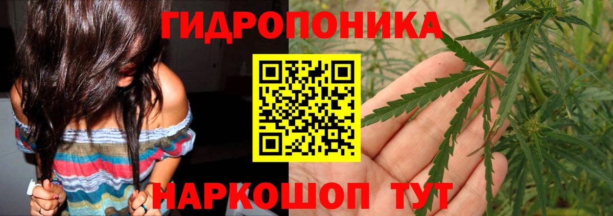 Конопля SATIVA & INDICA Златоуст